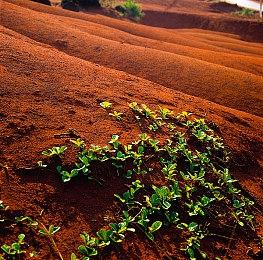 策略游戏《凤凰点》推出完整版 支持创意工坊与MOD