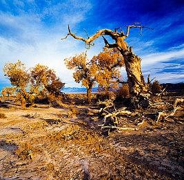 三丽鸥联动B站《梦职人与追忆之黑妖精》凯蒂猫必得