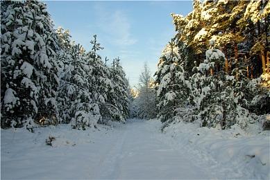 《遗迹2》新DLC“觉醒之王”现已正式推出